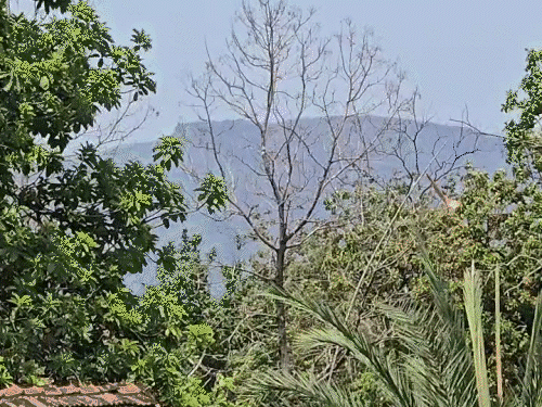An encounter is going on on this mountain of Karragutta.