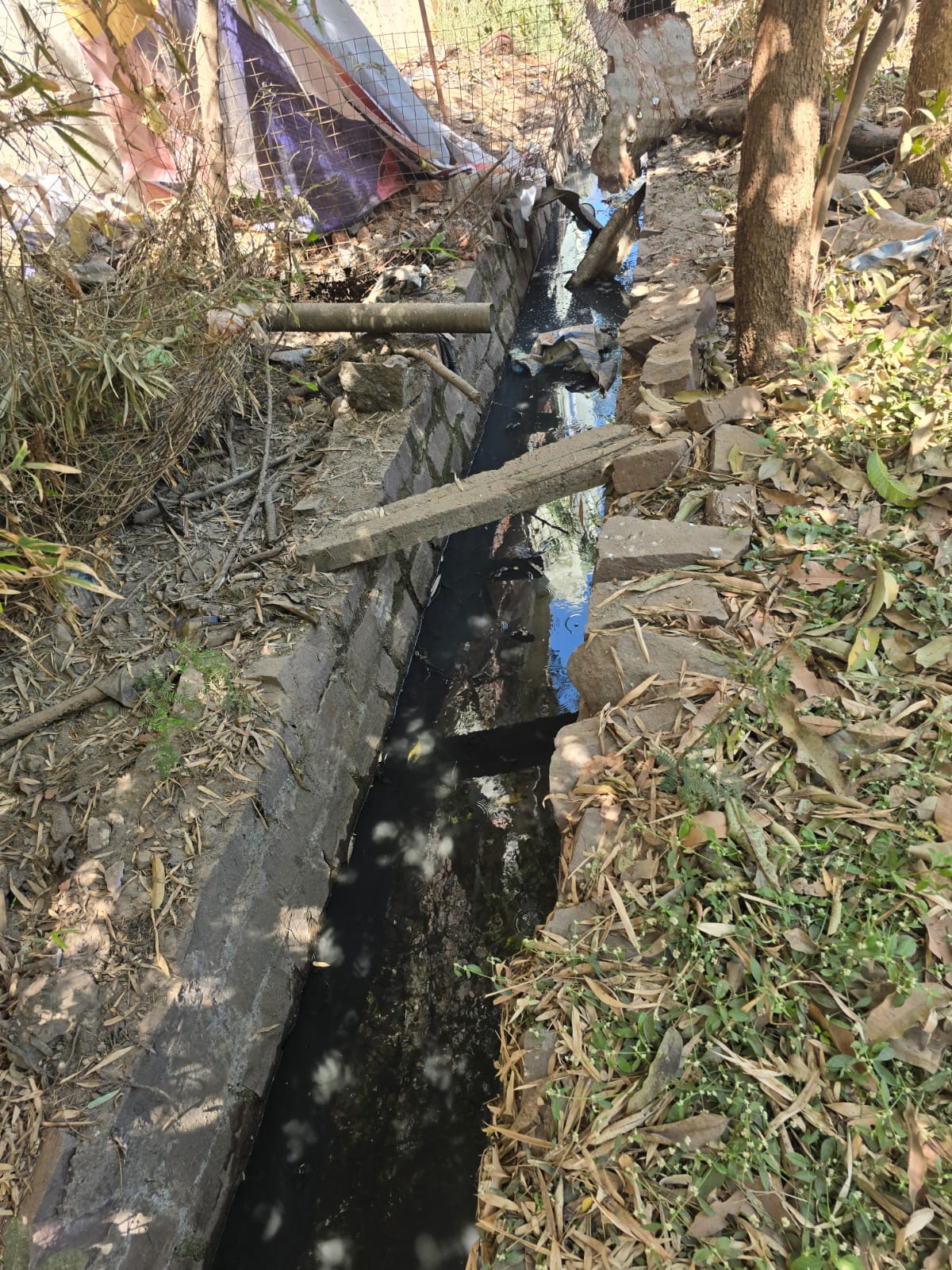 रहवासियों का कहना है कि कॉलोनी में सीवेज सिस्टम भी ठीक नहीं है।