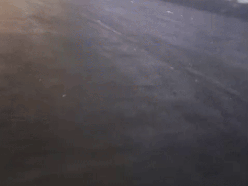 पॉलिटेक्निक चौराहा पर पैदल चलने वाले भी रुक गए थे। दोबारा सायरन बजा, तो वह चल पड़े।