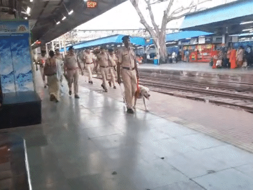 रेलवे ने प्लेटफार्म और ट्रेनों में बढ़ाई सुरक्षा। - Dainik Bhaskar