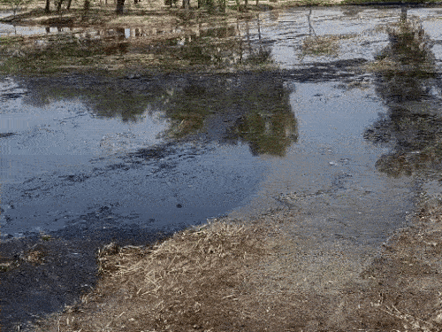 In Dhanoa village of Amritsar, the water released in the field and a hawker in the street to install Paneiri.