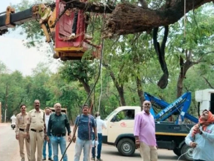 बीएसपी की टीम अवैध बिजली कनेक्शन काटते हुए - Dainik Bhaskar