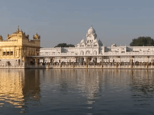 सुबह खिली धूप के बीच गोल्डन टेंपल का मनमोहक दृश्य। - Dainik Bhaskar