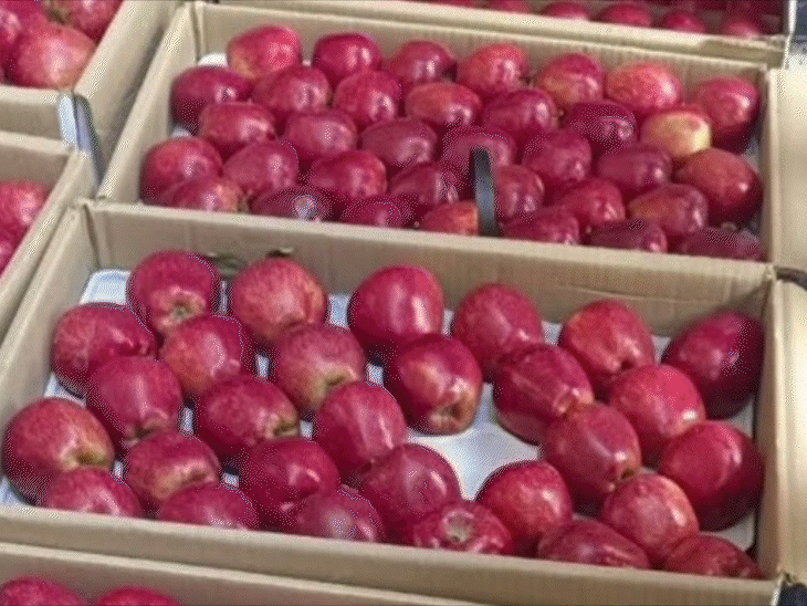 3 Effect of Turkish apple on 3 Himalayan states.