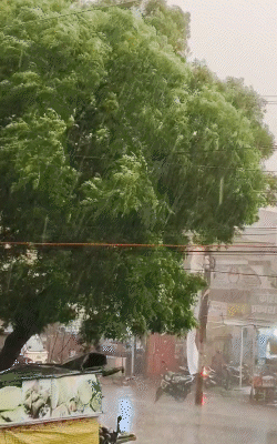 कुशीनगर में बारिश से तापमान 2 डिग्री गिर गया है।
