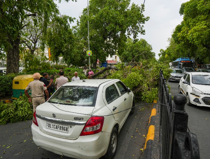 बारिश और तेज हवाओं के कारण उखड़े पेड़ों से सड़कें जाम हो गई हैं।