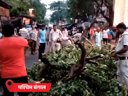 শুক্রবার, পশ্চিম বঙ্গালের আদনিপুর এবং প্রচুর বৃষ্টিপাত সহ অনেক জায়গায় বজ্রপাত ছিল।