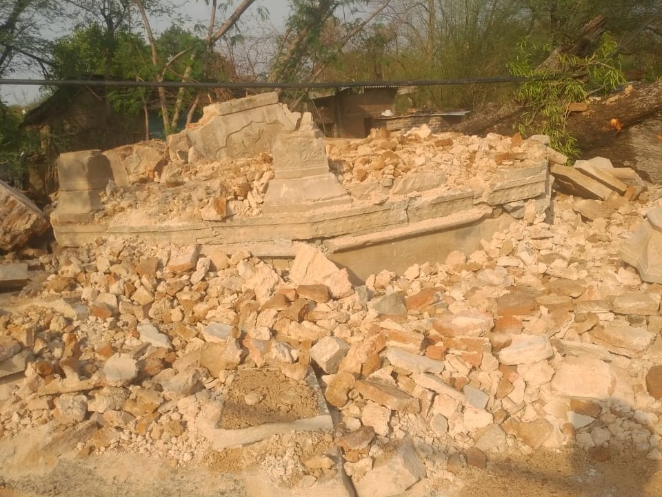 Tamarind tree fell due to storm in Ashoknagar
