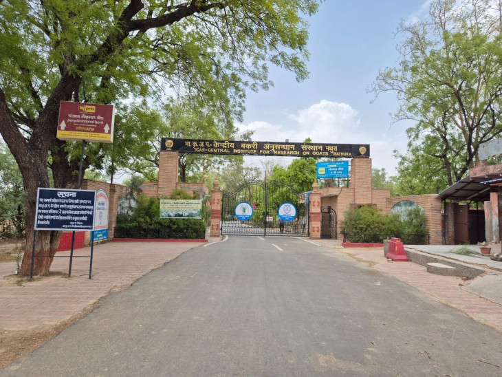 Temperature in Mathura reached 42 degree Celsius, body is burning due ...
