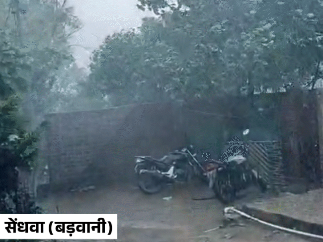 बड़वानी के सेंधना में तेज आंधी चली। इस दौरान पेड़ भी गिर गए।