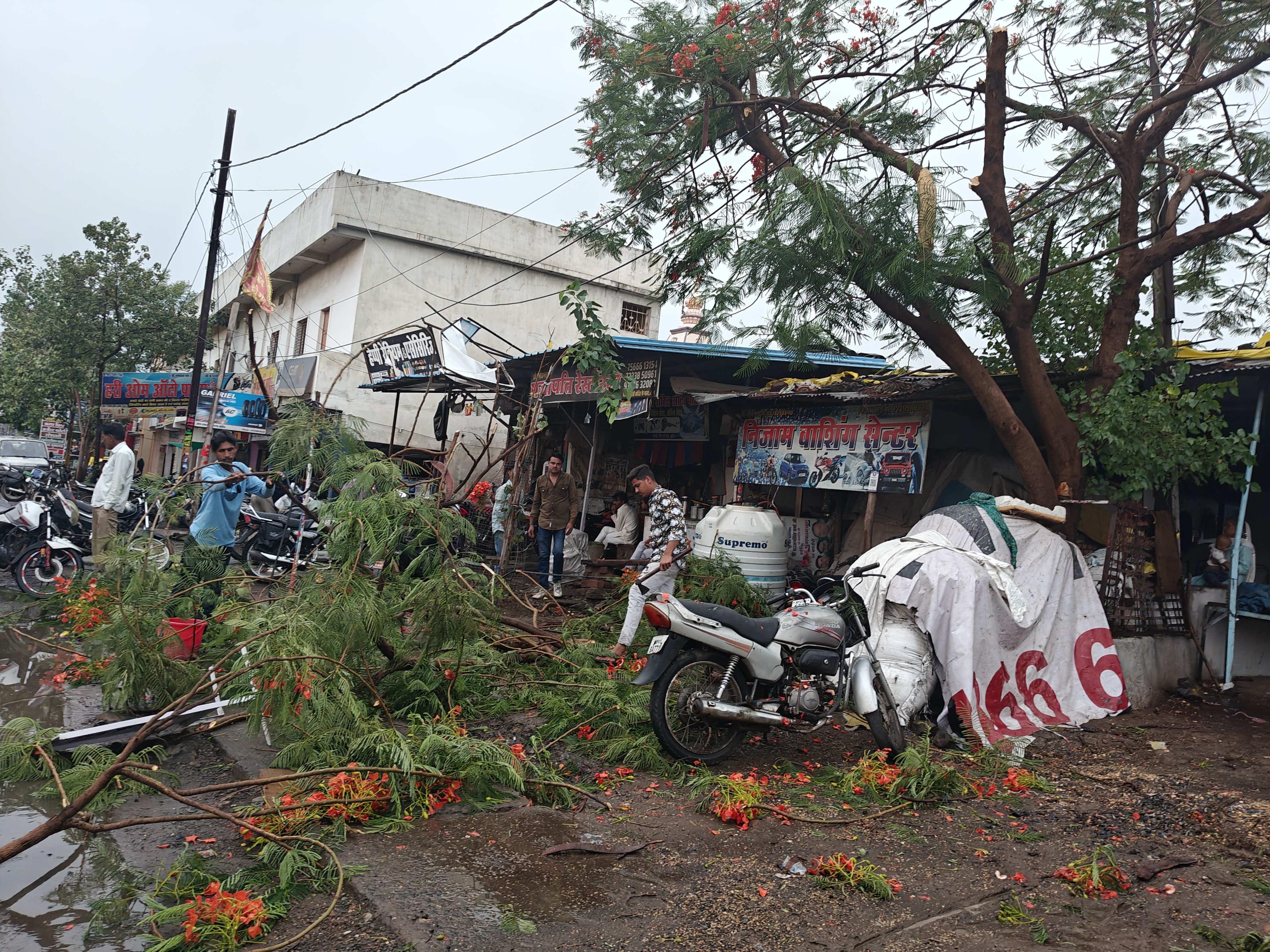 Tree branch broke due to storm and rain, traffic disrupted | तूफान ...