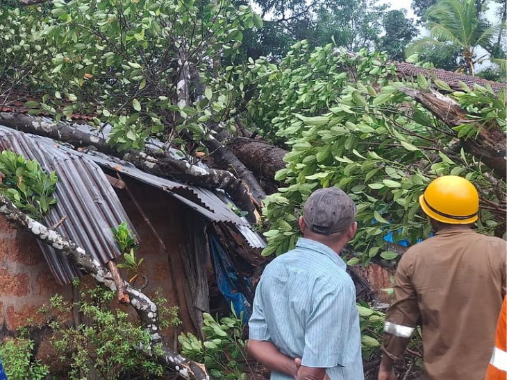 Pictures of trees uprooted in some areas of Goa also came.