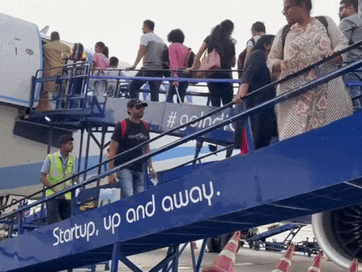 इंडिगो लगातार पांचवें महीने सबसे पंक्चुअल एयरलाइन रही है। - Dainik Bhaskar