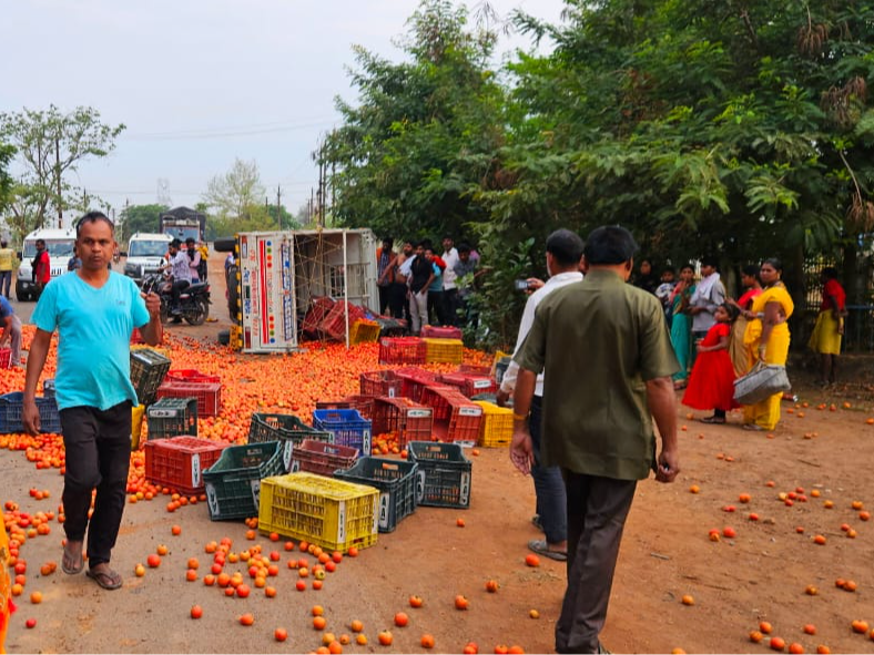 टमाटर लूटने लोगों में मची होड़। - Dainik Bhaskar