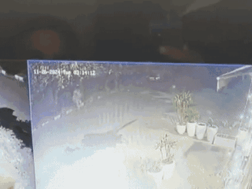 सेक्टर 26 2 क्लबों के बाहर धमाके हुए।