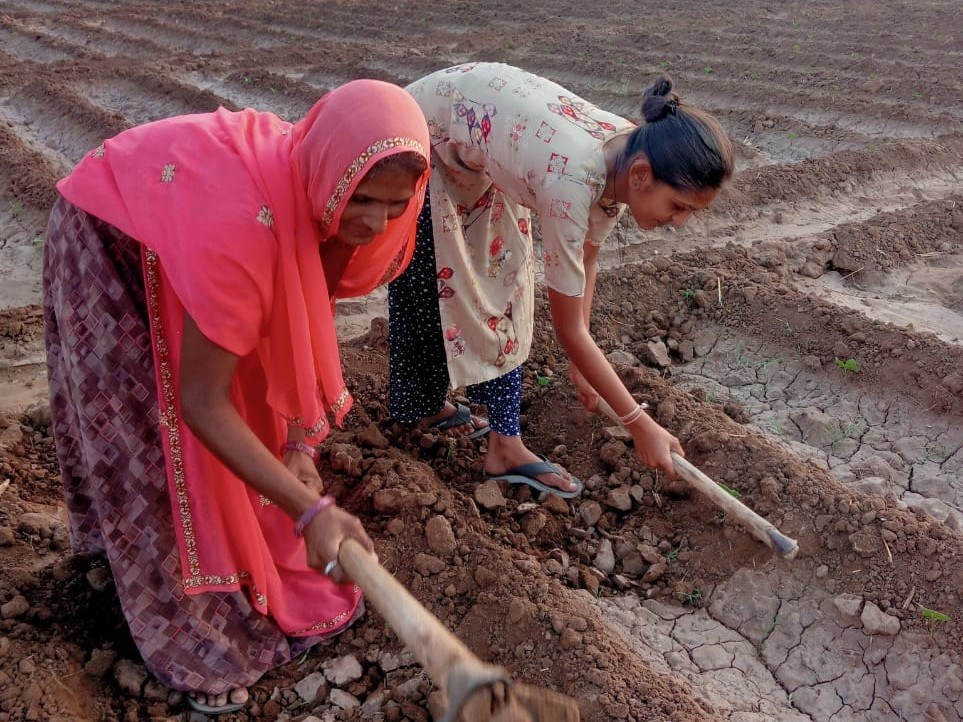 खेतिहर मजदूर पिता की बेटी मीनाक्षी 12वीं कक्षा (कला वर्ग) में 97.80 प्रतिशत अंक लाई है।