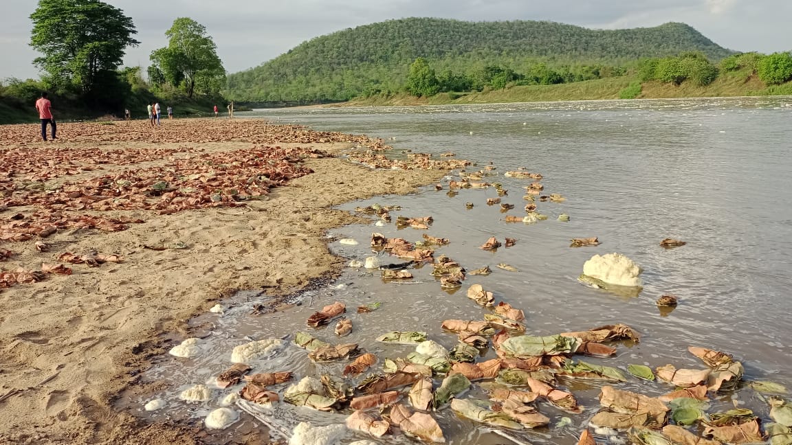 The shedding of tendu leaves is a gross negligence of the forest ...