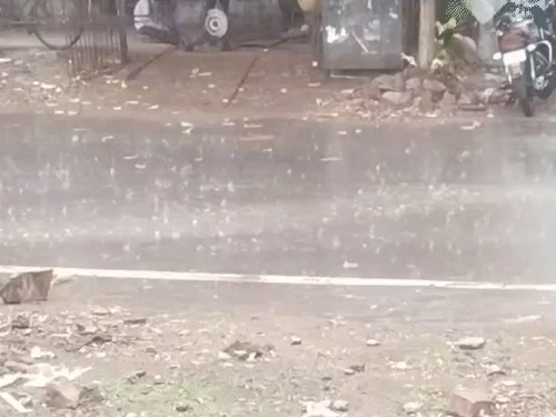 बिलासपुर में शनिवार को जोरदार बारिश हुई, जिससे लोगों को गर्मी से राहत मिली।