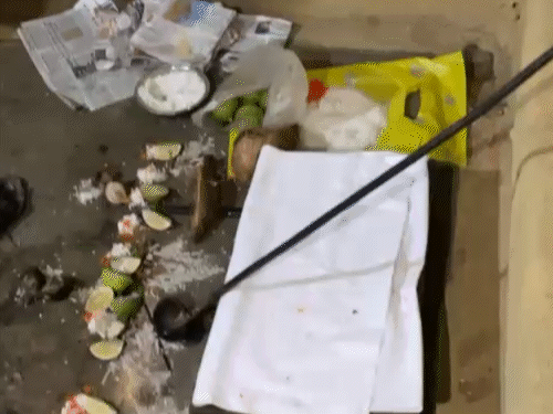 बालोद में सिर्राभाठा गांव के एक घर में बैगा की लाश मिली। - Dainik Bhaskar