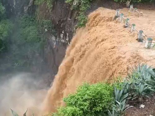 छत्तीसगढ़ के अंबिकापुर में तेज बारिश से नदियों में बाढ़ जैसी स्थिति है। - Dainik Bhaskar