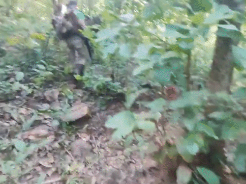 छत्तीसगढ़-ओडिशा बॉर्डर के इलाकों पर सुरक्षाबलों ने सर्चिंग तेज कर दी है।