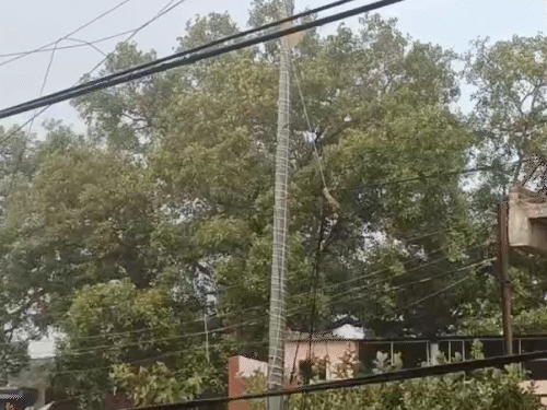 बहराइच में शुक्रवार की शाम मौसम बदला। तेज हवाओं के साथ बारिश हुई।