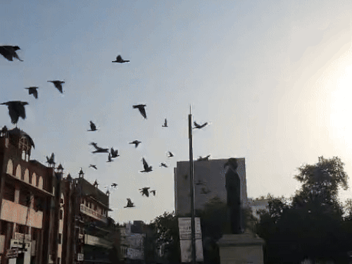अमृतसर में सुबह के समय चमकता सूरज, यहां रात आंधी के साथ हल्की बारिश भी देखने को मिली।