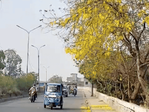 पंजाब के अधिकतर शहरों में आज मौसम साफ रहेगा। - Dainik Bhaskar