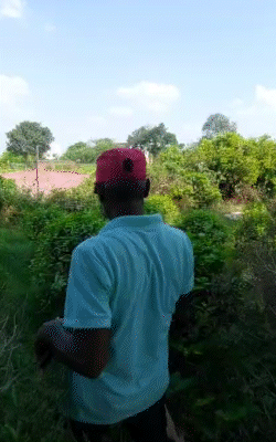 रामगोपाल मौर्य ने कहा- फूलों के पेड़ छोटे होते हैं, इनके बीच अगर कोई जानवर छिपे तो पता भी नहीं चलता है।