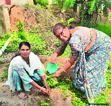 Teachers gave the message of greenery by planting trees