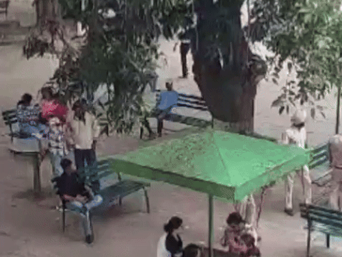 पंजाब यूनिवर्सिटी में नहीं बढ़ेगी विदेशी  स्टूडेंट्स की फीस। - Dainik Bhaskar