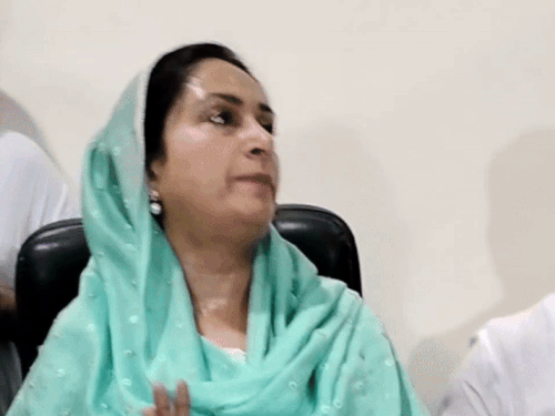 बठिंडा सांसद हरसिमरत कौर बादल ने आज कार्यकर्ता संग बैठक की। - Dainik Bhaskar