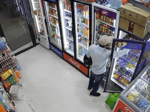 आरोपी चोरी करते हुए कैमरे में हुआ कैद। - Dainik Bhaskar