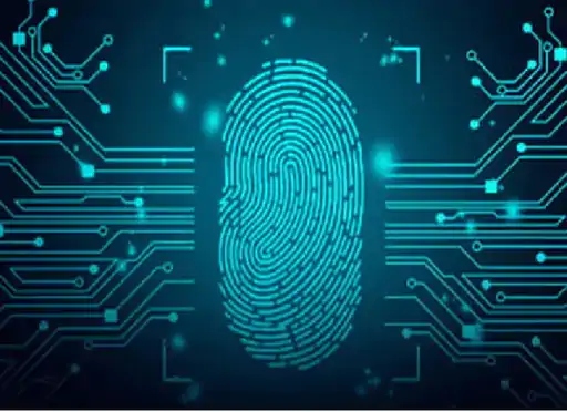 नेशनल ऑटोमैटिक फिंगर प्रिंट आइडेंटिटी सिस्टम को अपराधियों की जानकारी निकालने के लिए इस्तेमाल किया जाता है।