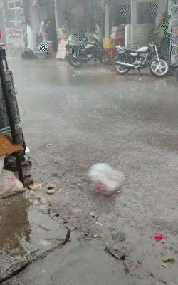 फर्रुखाबाद में दोपहर बाद तेज आंधी के साथ बारिश हुई। हवाएं इतनी तेज थीं कि खड़ा होना भी मुश्किल हो रहा था।