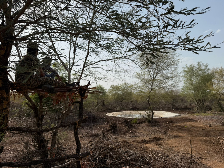 पेड़ों पर मचान बनाकर बैठे वन विभाग के जवान