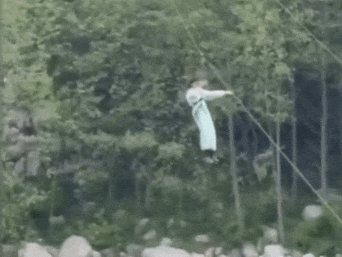 घायल त्रिशा का नागपुर के अस्पताल में इलाज चल रहा है। - Dainik Bhaskar