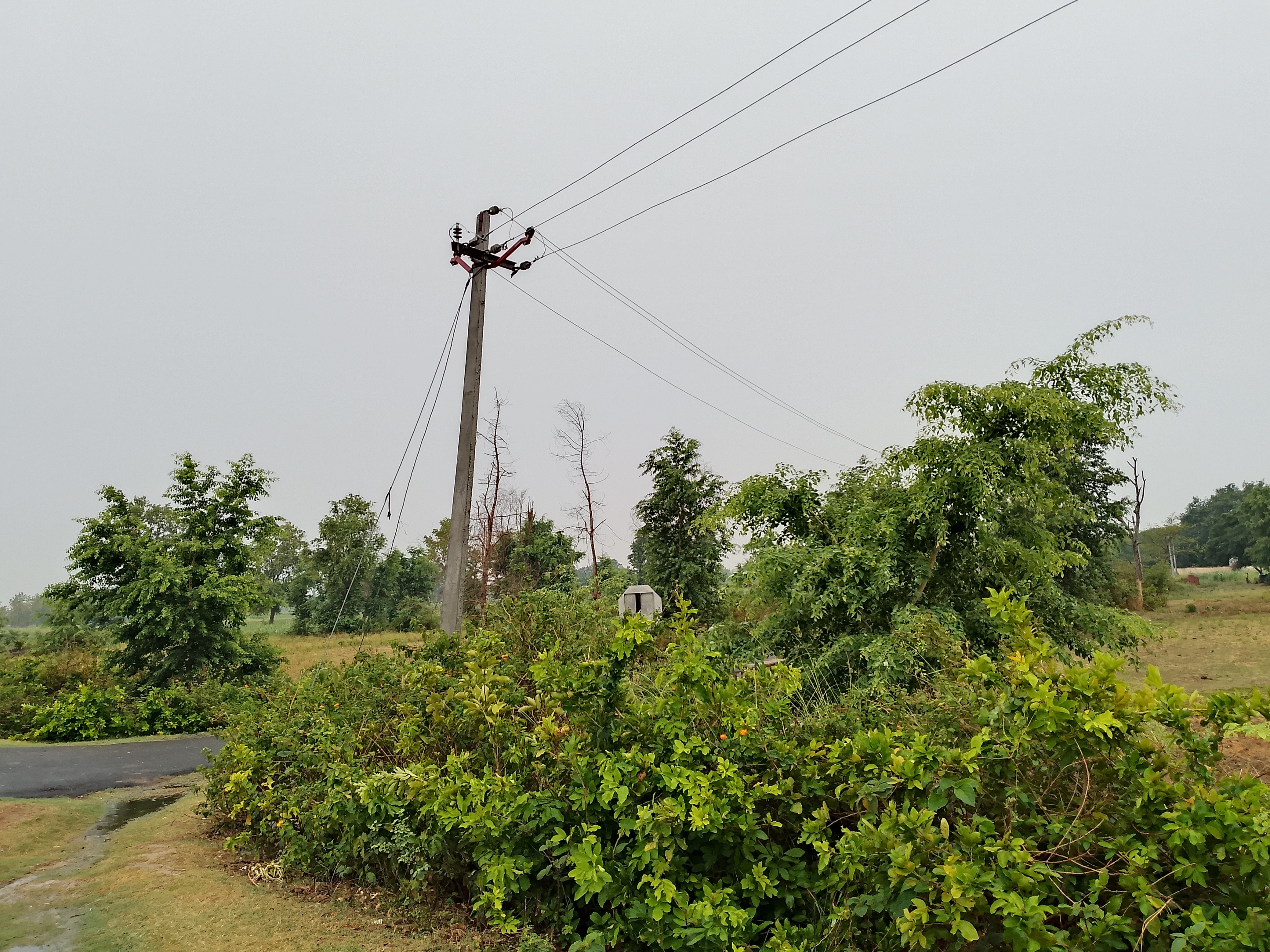 A dilapidated electricity pole on the roadside in Katkuiya | कटकुइया ...