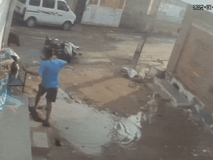 व्यापारी का बेटा भागा, इधर सूअर लगातार हमला करता रहा।