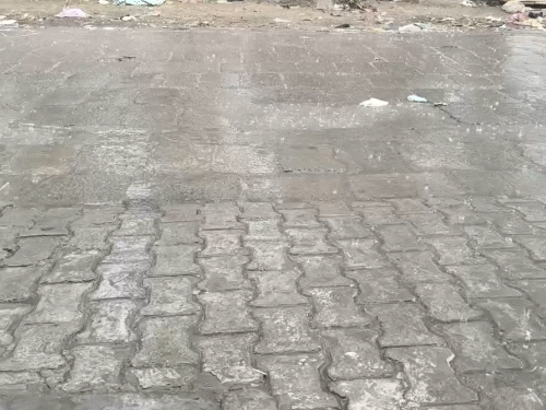 फतेहाबाद के जाखल में सुबह करीब 8 तेज बारिश हुई।