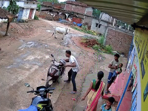 महिला जल्द से जल्द निकलने की कोशिश कर रही थी, तभी चपेट में आ गई।