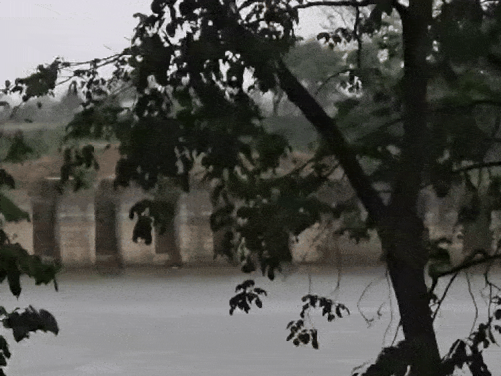 छिंदवाड़ा में मंगलवार दोपहर को तेज बारिश हुई।