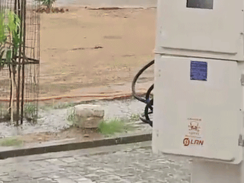 BKT में रिमझिम बारिश से भीगी सड़क।