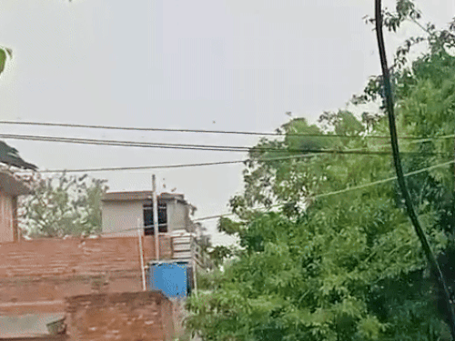 लखनऊ के BKT इलाके में दोपहर बाद बारिश हुई।