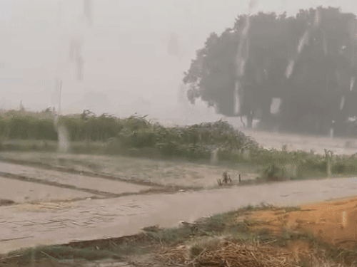 PGI के कल्ली पश्चिम में तेज बारिश हुई।