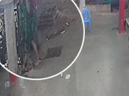 साड़ी पहनकर मंदिर में चोरी करते नाबालिग का सीसीटीवी।