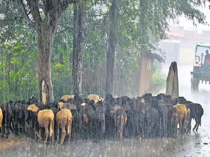 उत्तर प्रदेश-झारखंडमध्ये मान्सूनची एन्ट्री: बंगालमध्ये मुसळधार पावसाचा इशारा; गुजरातमधील भावनगरमध्ये 5 जण बेपत्ता उत्तर प्रदेश-झारखंडमध्ये मान्सूनची एन्ट्री: बंगालमध्ये मुसळधार पावसाचा इशारा; गुजरातमधील भावनगरमध्ये 5 जण बेपत्ता