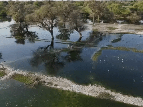 5 एकड़ से ज्यादा बड़ा तालाबों को योजना में शामिल करा सकते हैं लोग।