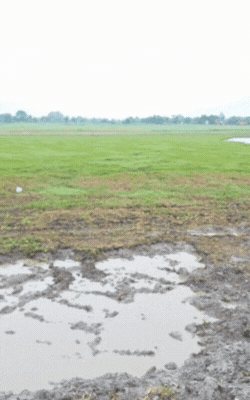 यह कोड़र झील है। यहां पर भी प्रशासन की तरफ से कुछ नहीं कराया गया है।