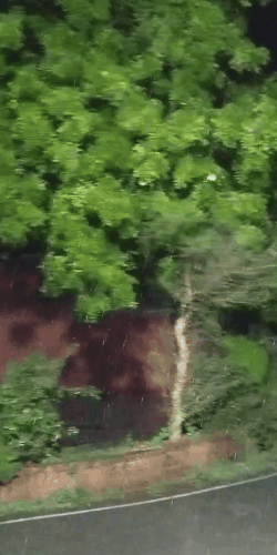 लखनऊ में देर रात से तेज हवाओं के साथ बारिश हो रही है। सड़कों पर पानी भर गया है।